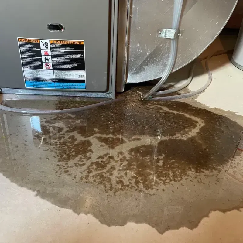 Appliance Leak Cleanup in Rosepine, LA